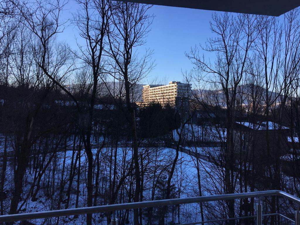Apartamenty Nad Potoczkiem Ustroń Buitenkant foto