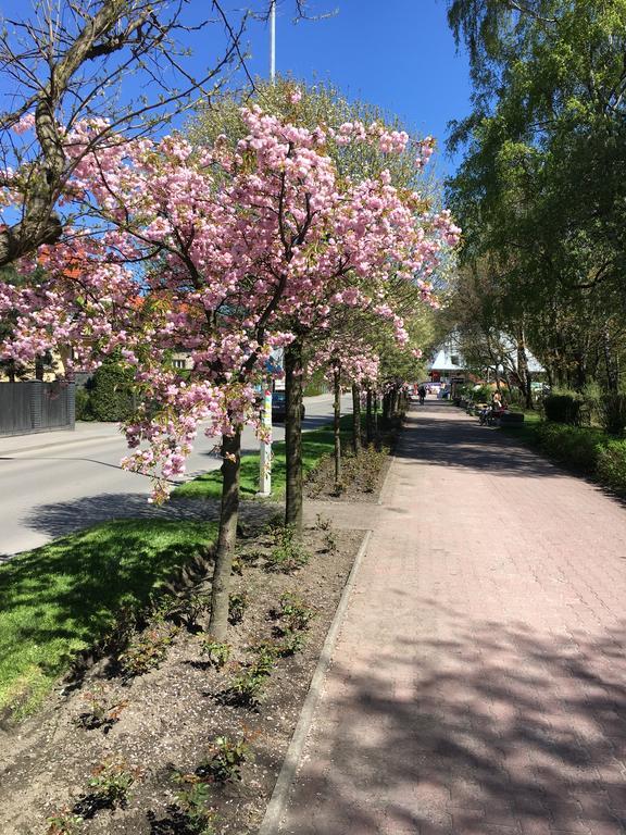 Apartamenty Nad Potoczkiem Ustroń Buitenkant foto